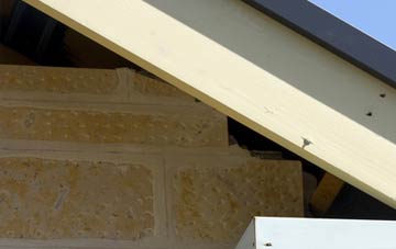 soffit repair Twyford Common